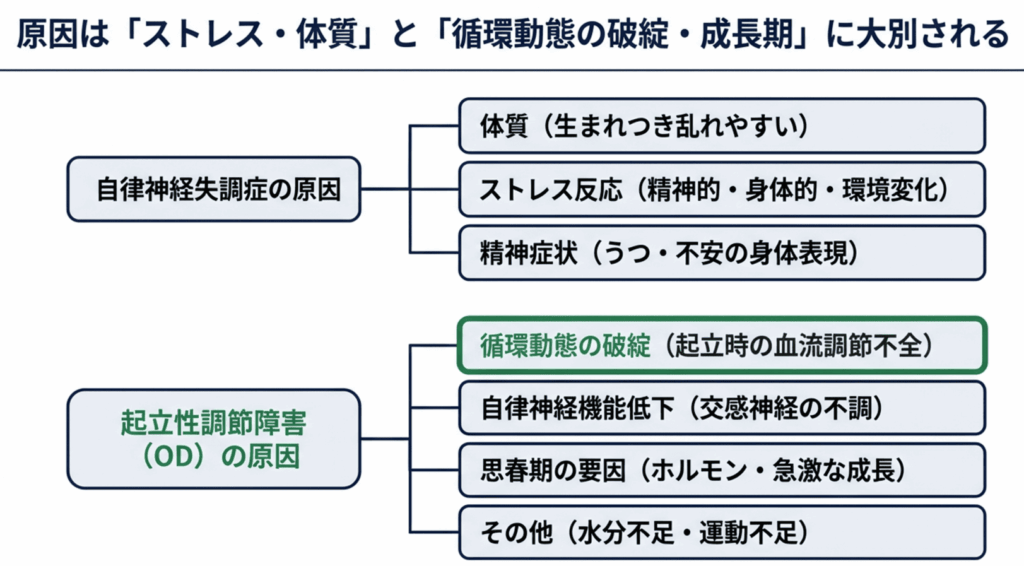 自律神経失調症と起立性調節障害の原因