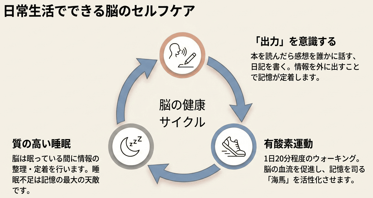出力・有酸素運動・睡眠による脳の健康サイクルを示す図解